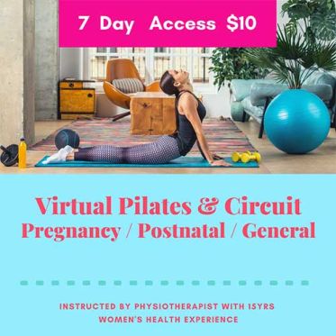 Virtual Pilates & Circuit (Pregnancy, Postnatal and General) Classes