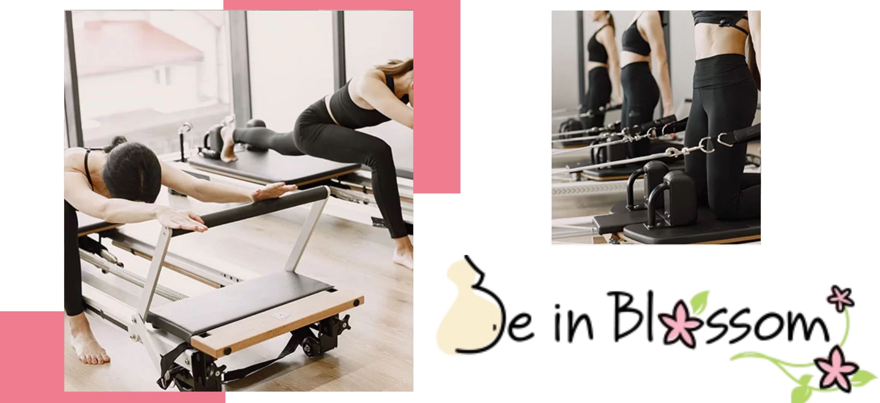 Be In Blossom’s 2023 Timetable and Price List