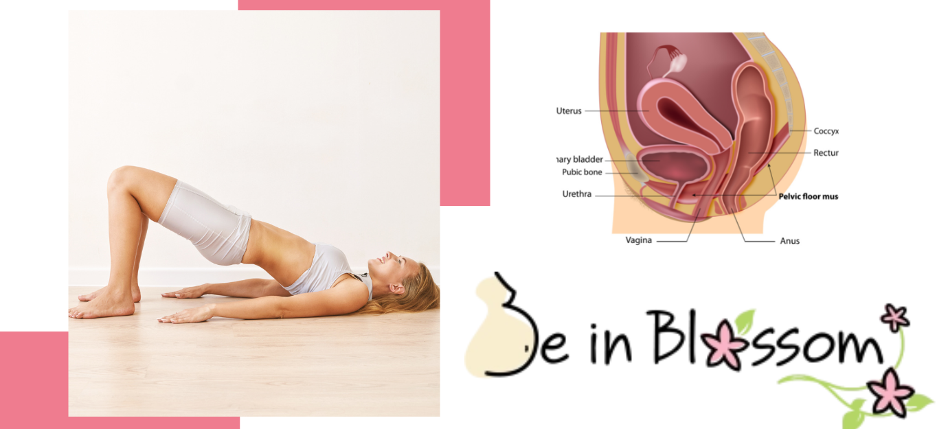 Pelvic Floor Muscle Training